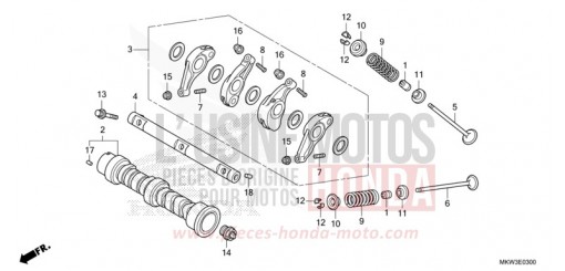 ALBERO A CAMME/VALVOLA NC750XDM di 2021